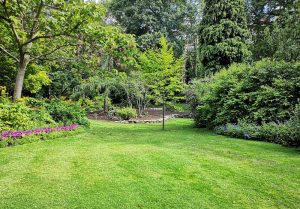 Optimiser l'expérience du jardin à Marcilly-Ogny
